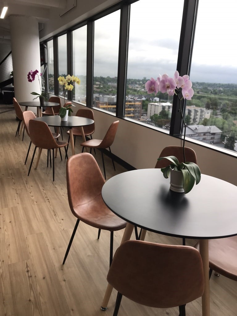 Lunch with a view.